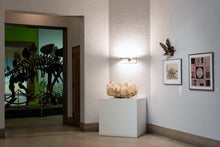 Load image into Gallery viewer, Digital Oracle (Book)