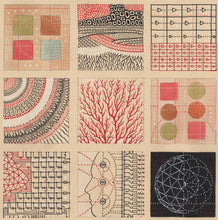 Load image into Gallery viewer, Prima Materia