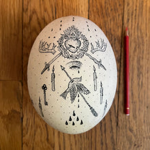 Load image into Gallery viewer, Ostrich Egg
