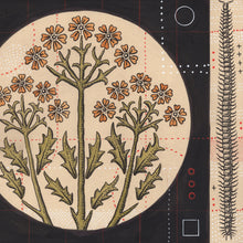 Load image into Gallery viewer, Transmutations