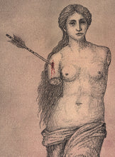 Load image into Gallery viewer, Wounded Venus