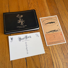 Load image into Gallery viewer, A Vertigo of Flaws Postcard Set