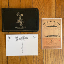 Load image into Gallery viewer, A Vertigo of Flaws Postcard Set
