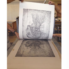 Load image into Gallery viewer, Transmutation, Stone Lithograph