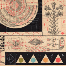 Load image into Gallery viewer, Biomimicry, Archival Print
