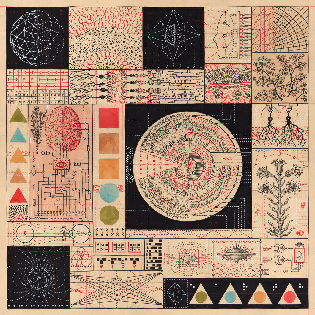 Biomimicry, Archival Print