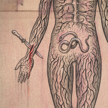Load image into Gallery viewer, Transcendence
