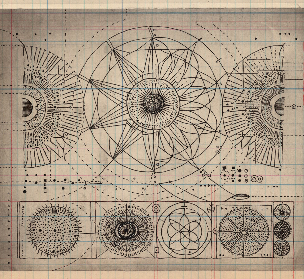 One Electron Universe