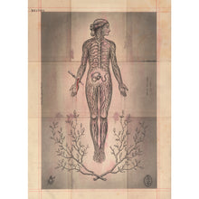 Load image into Gallery viewer, Transcendence
