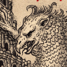 Load image into Gallery viewer, Age of Confusion
