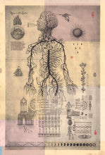 Load image into Gallery viewer, Agony in the System, Archival Print
