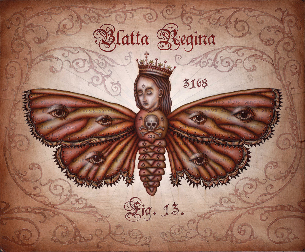Blatta Regina, Archival Print