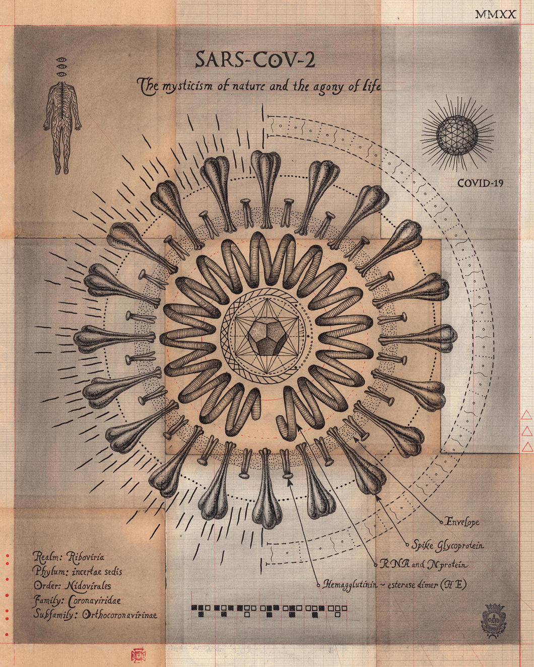 The Coronavirus, Archival Print