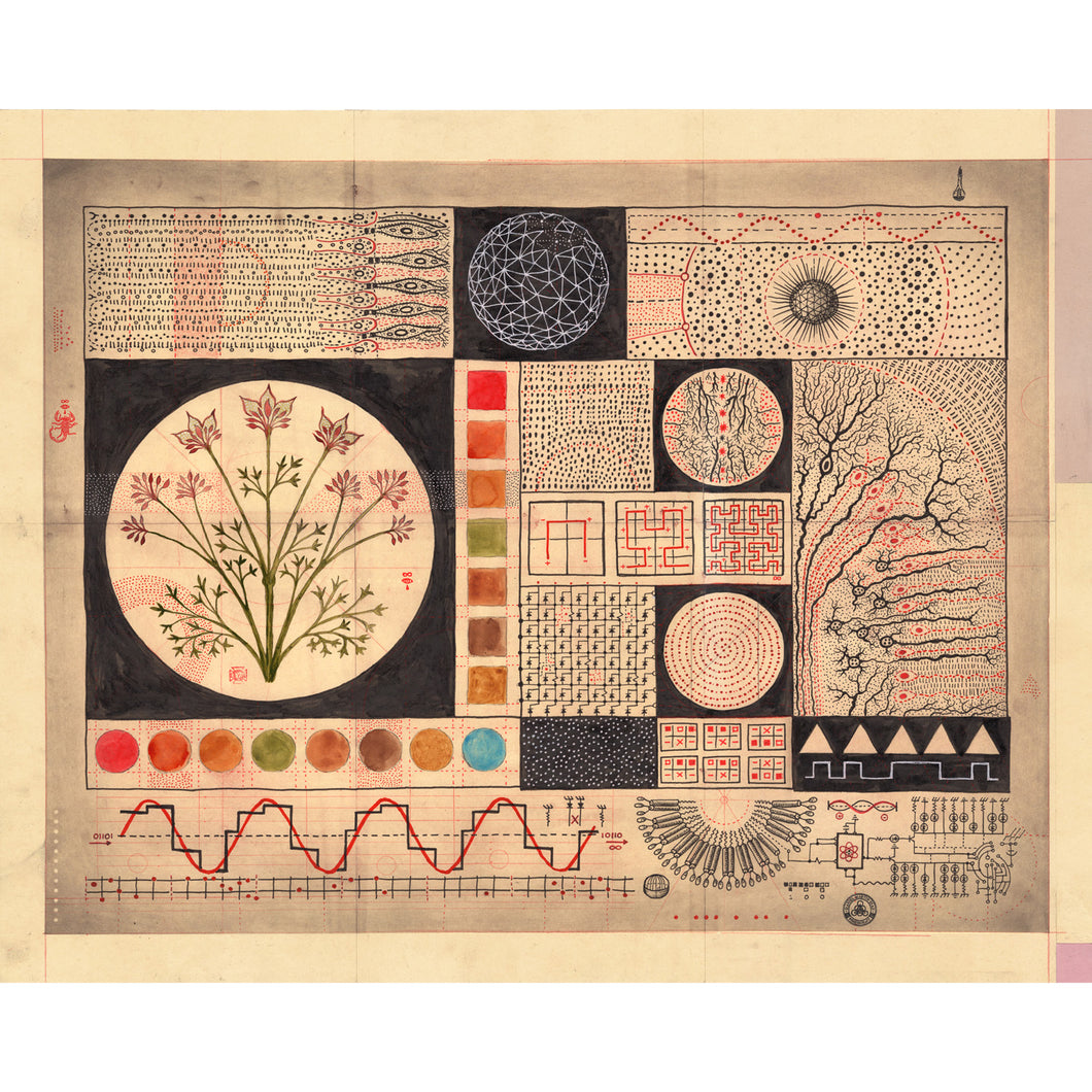 Digital Biology, Archival Print