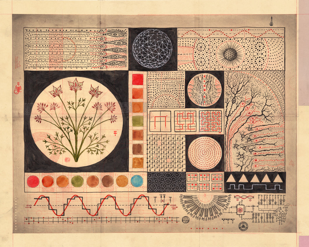 Digital Biology