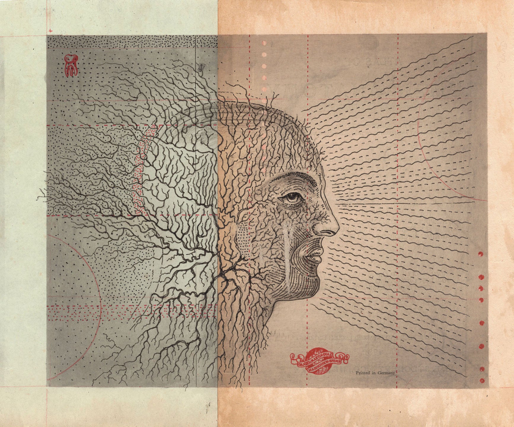 Mind Projection – Daniel Martin Diaz