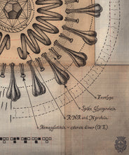 Load image into Gallery viewer, The Coronavirus, Archival Print
