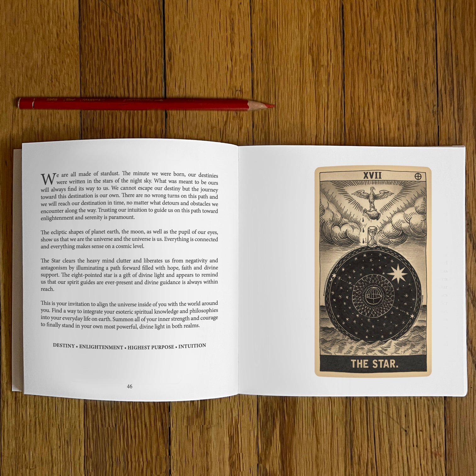 cyklus mock Bemærkelsesværdig Earth Magick Tarot Guide Book – Daniel Martin Diaz