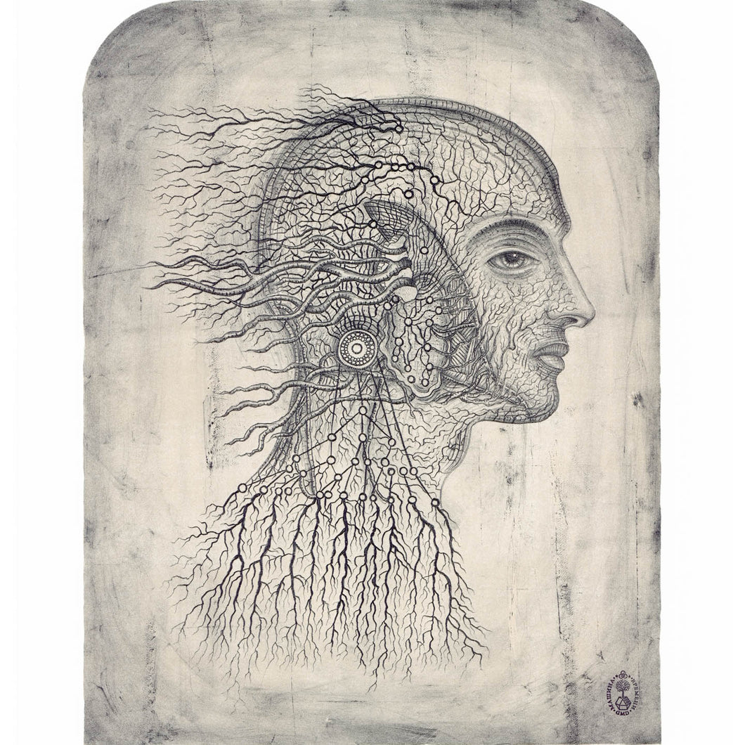 Transmutation, Stone Lithograph