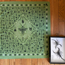 Load image into Gallery viewer, Insect Bandana
