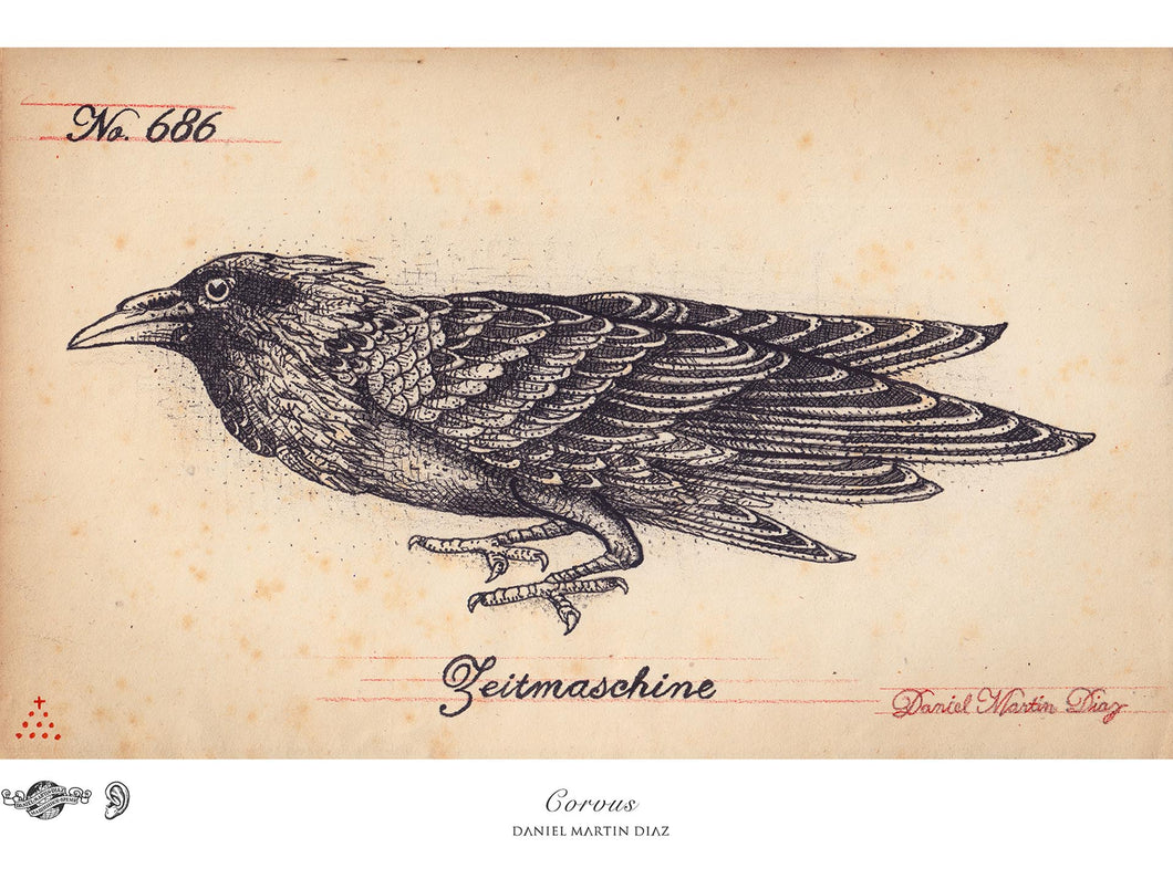 Corvus, Archival Print