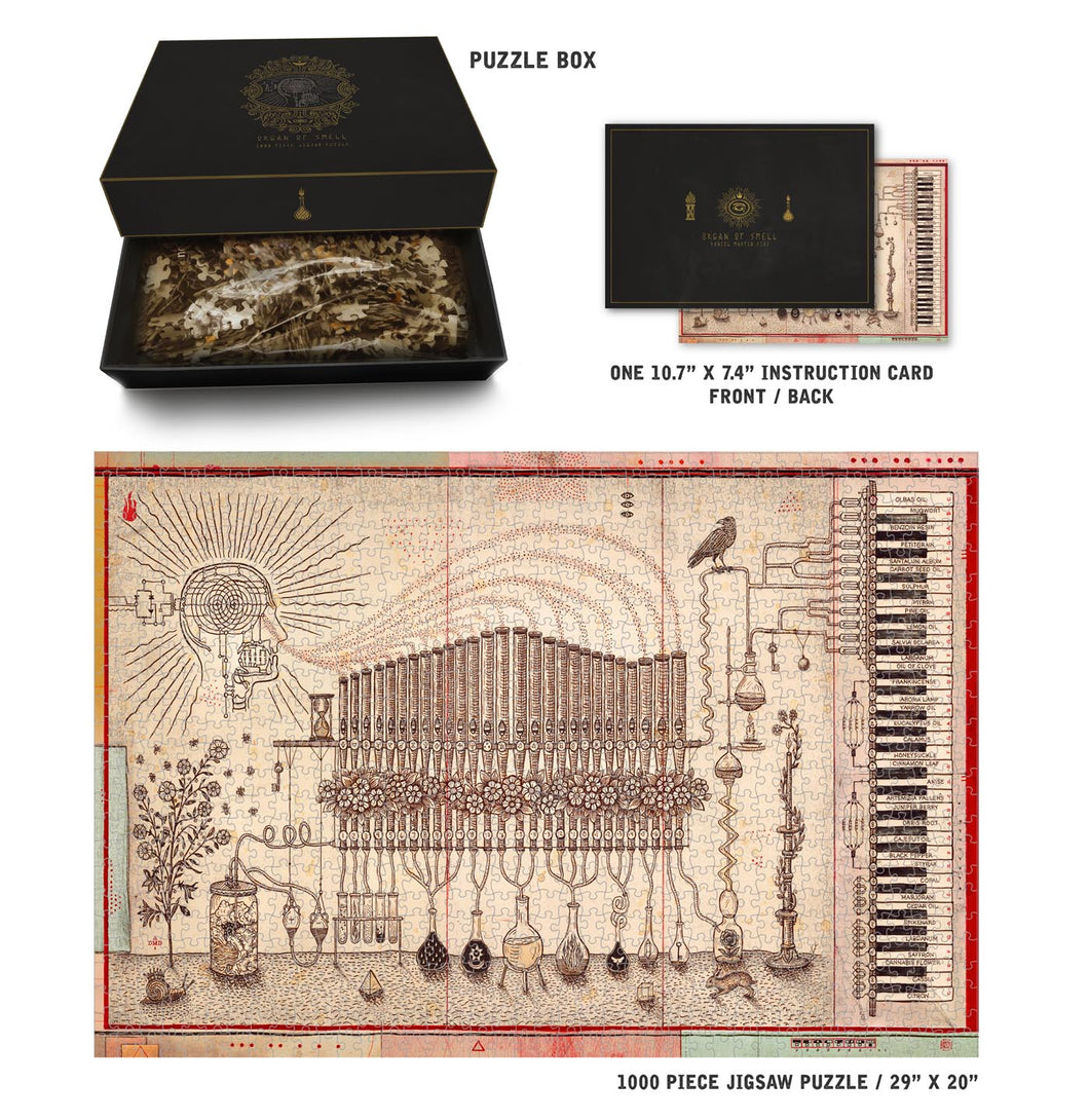 Organ of Smell Jigsaw Puzzle